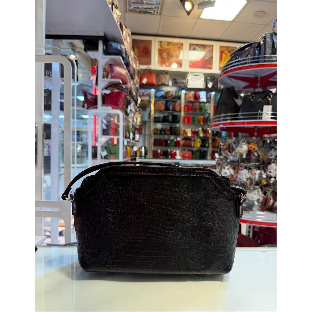 مشکی لیزارد